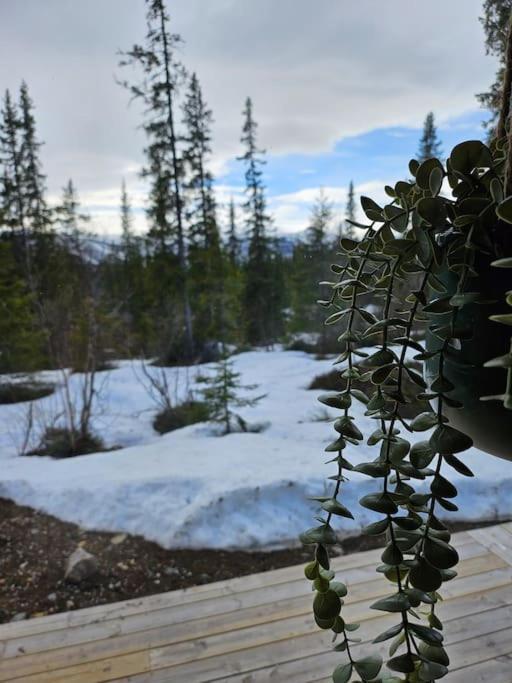 Cozy Mountain Cottage With Beautiful Views & Sauna Beitostolen Exterior photo